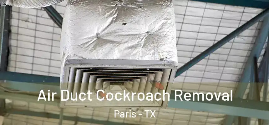Air Duct Cockroach Removal Paris - TX