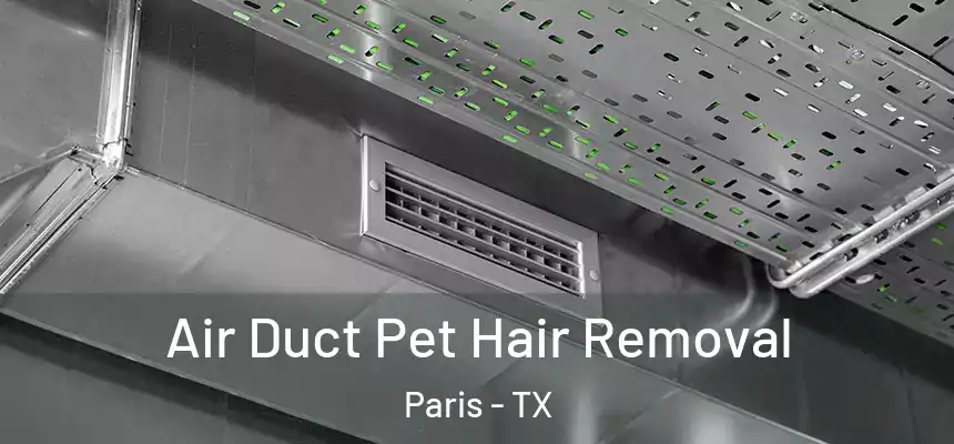 Air Duct Pet Hair Removal Paris - TX