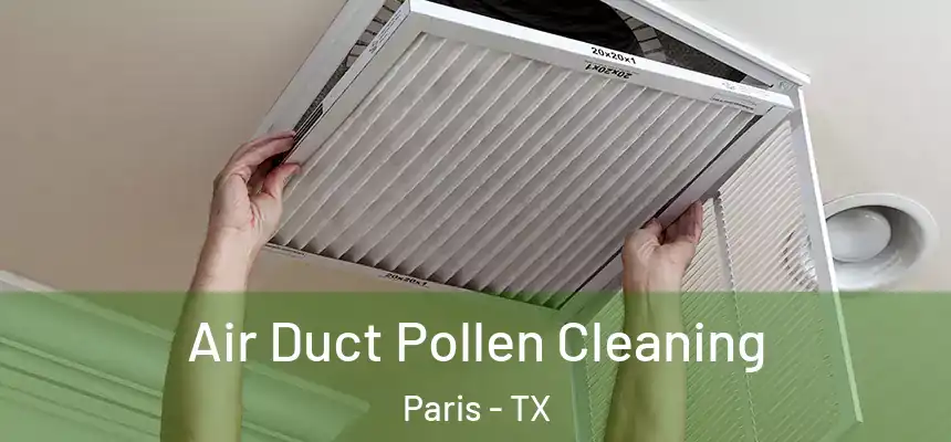 Air Duct Pollen Cleaning Paris - TX