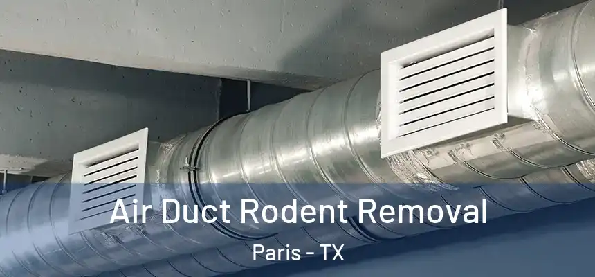 Air Duct Rodent Removal Paris - TX