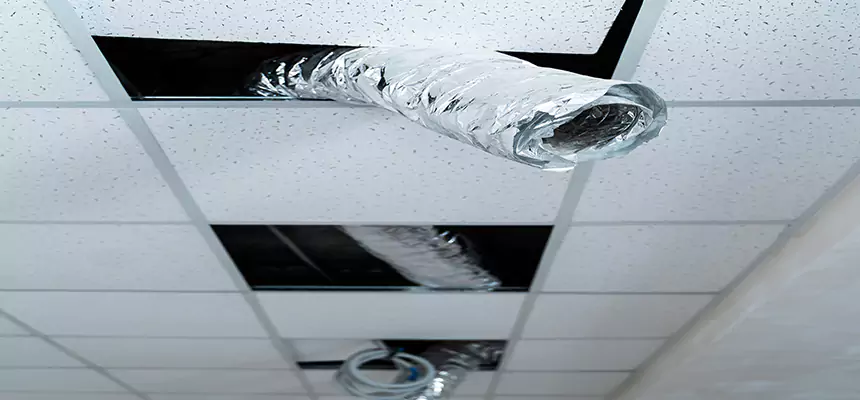 Affordable HVAC Sanitizing After Pest Removal in Paris