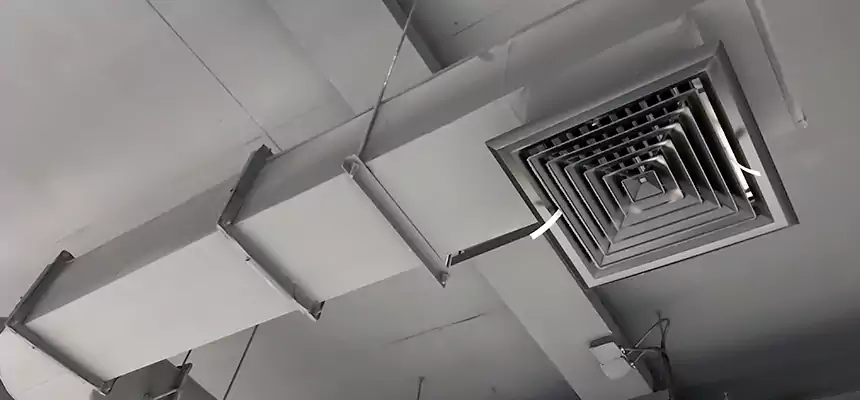 Our Pest Removal From Ducts Services in Paris, TX