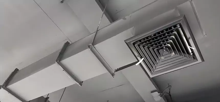 Our Rodent Droppings In Vents Services in Paris, TX