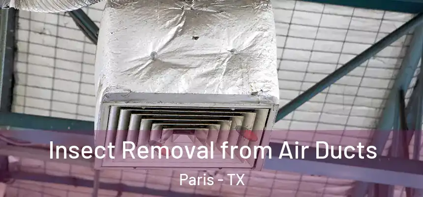 Insect Removal from Air Ducts Paris - TX