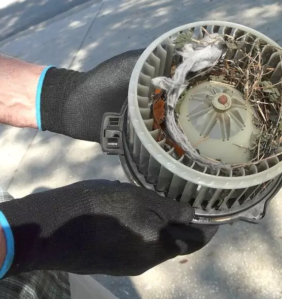 About Air Duct Mice Removal in Paris, TX