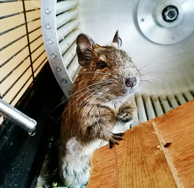 Why Homeowners & Businesses Trust Us Paris, TX