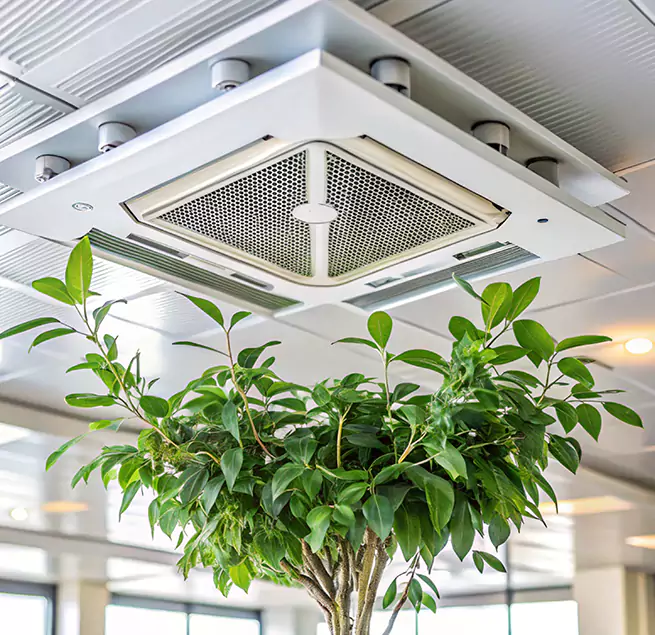 Why Homeowners & Businesses Trust Us in Paris, TX?