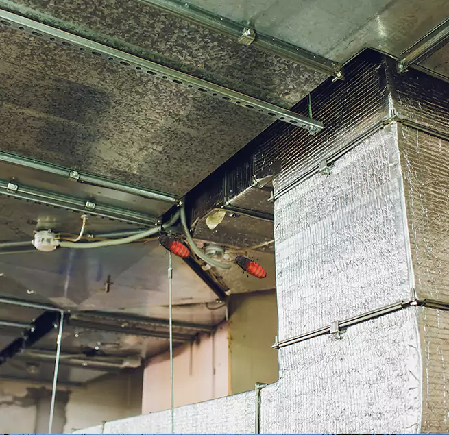 Why Homeowners & Businesses Trust Us Paris, TX?